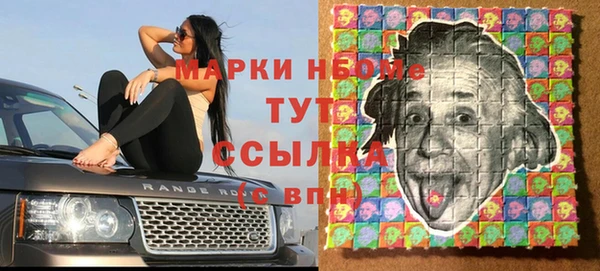 гидропоника Новозыбков