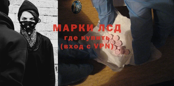 гидропоника Новозыбков