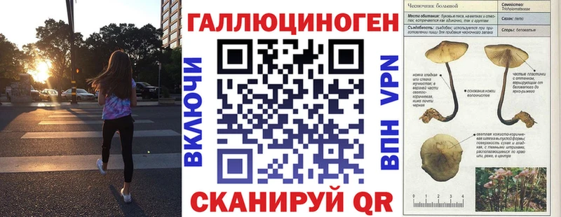 площадка наркотические препараты  Курлово  Псилоцибиновые грибы мицелий 